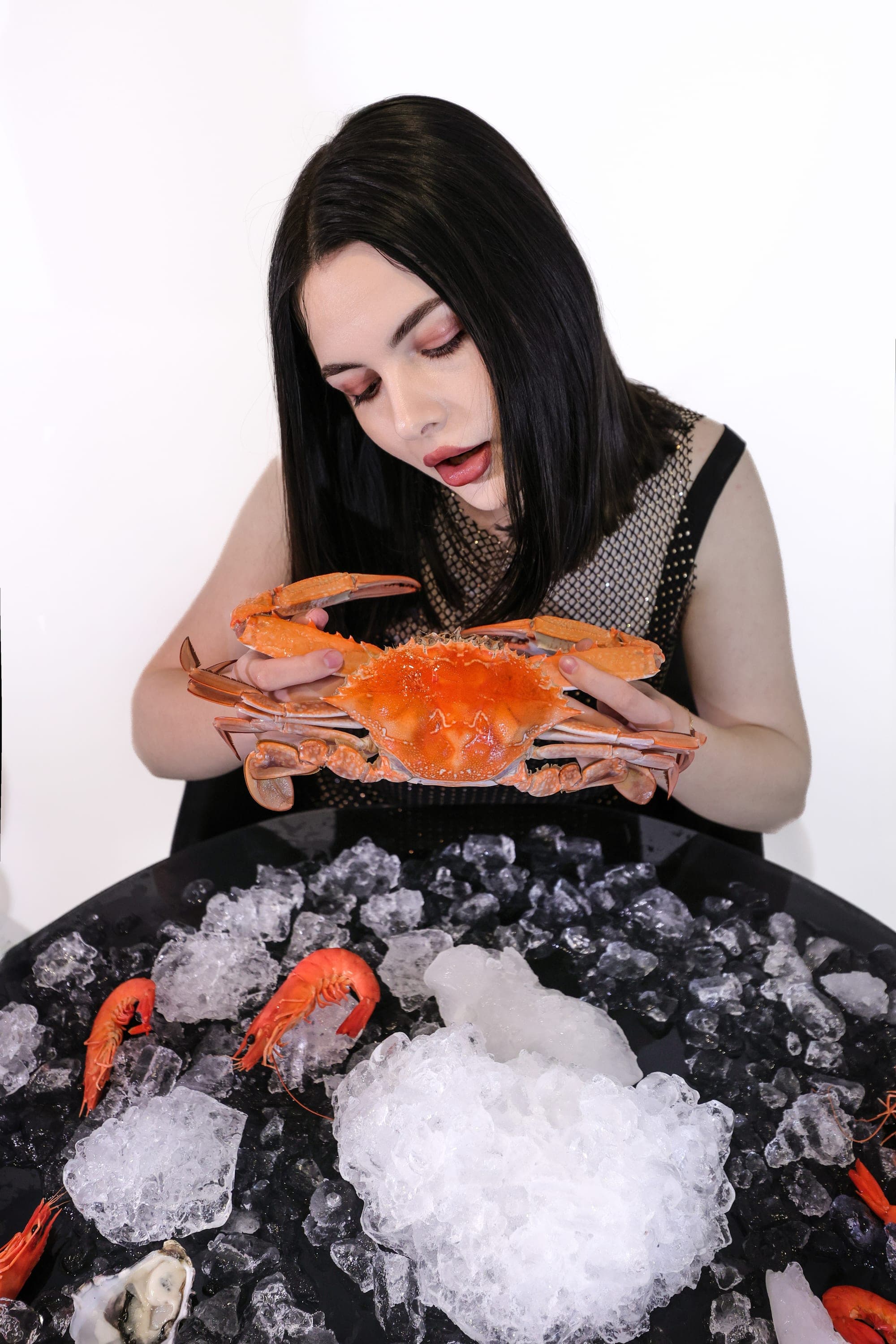 Model in a sequined dress holding a crab over ice, conceptual studio photography